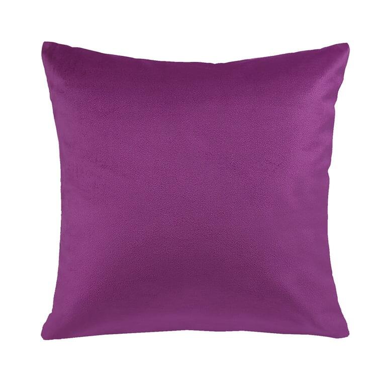 Decorative Throw Pillow Bundle Set, Silky Velvet Covers with inserts